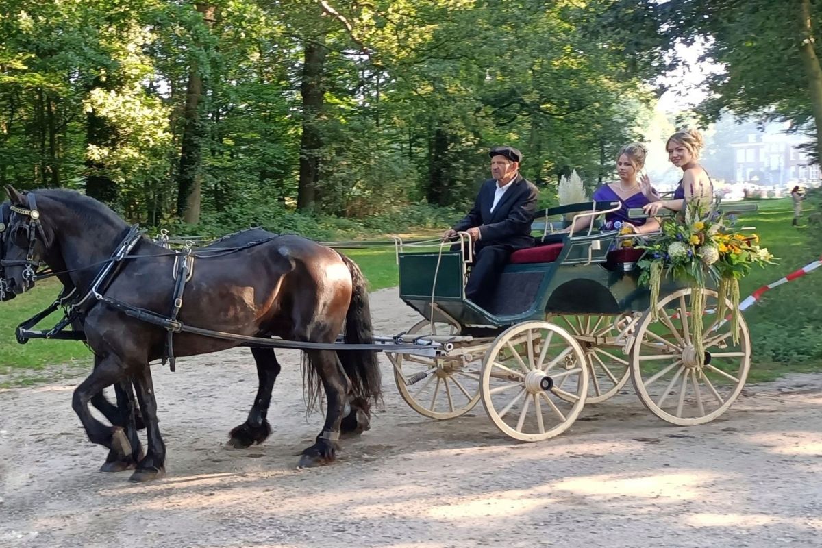 Margriet Veenendaal