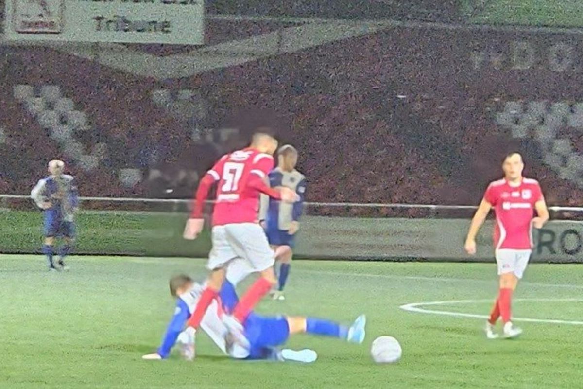 Jeroen van den Berg DOVO