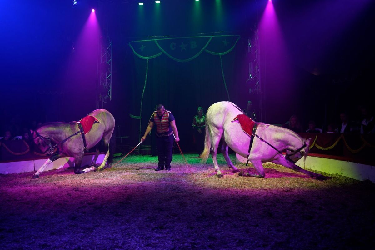 XON / Anna van den Hazel