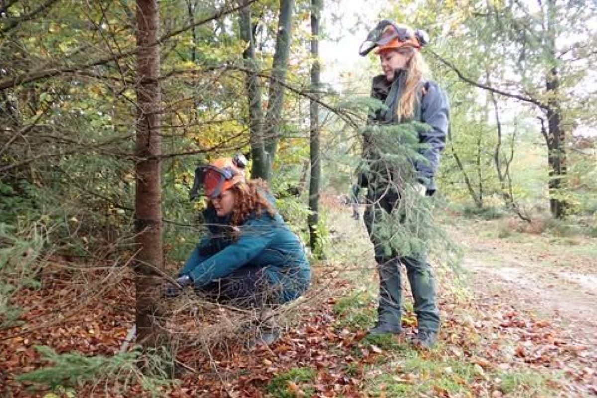 Staatsbosbeheer