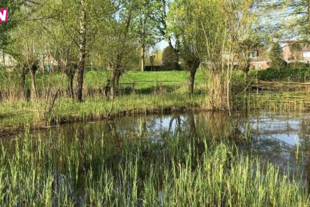 Natuurtuin Diddersgoed