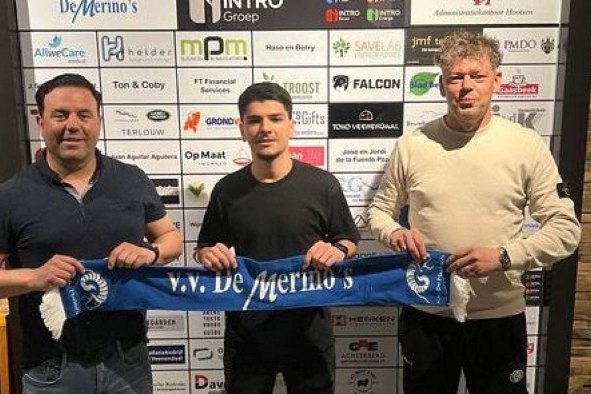 Merino ‘s
