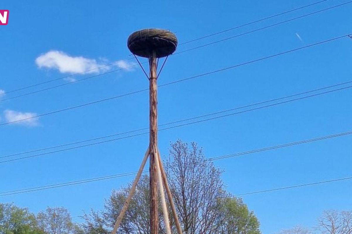 Publieksboerderij de Proosdij