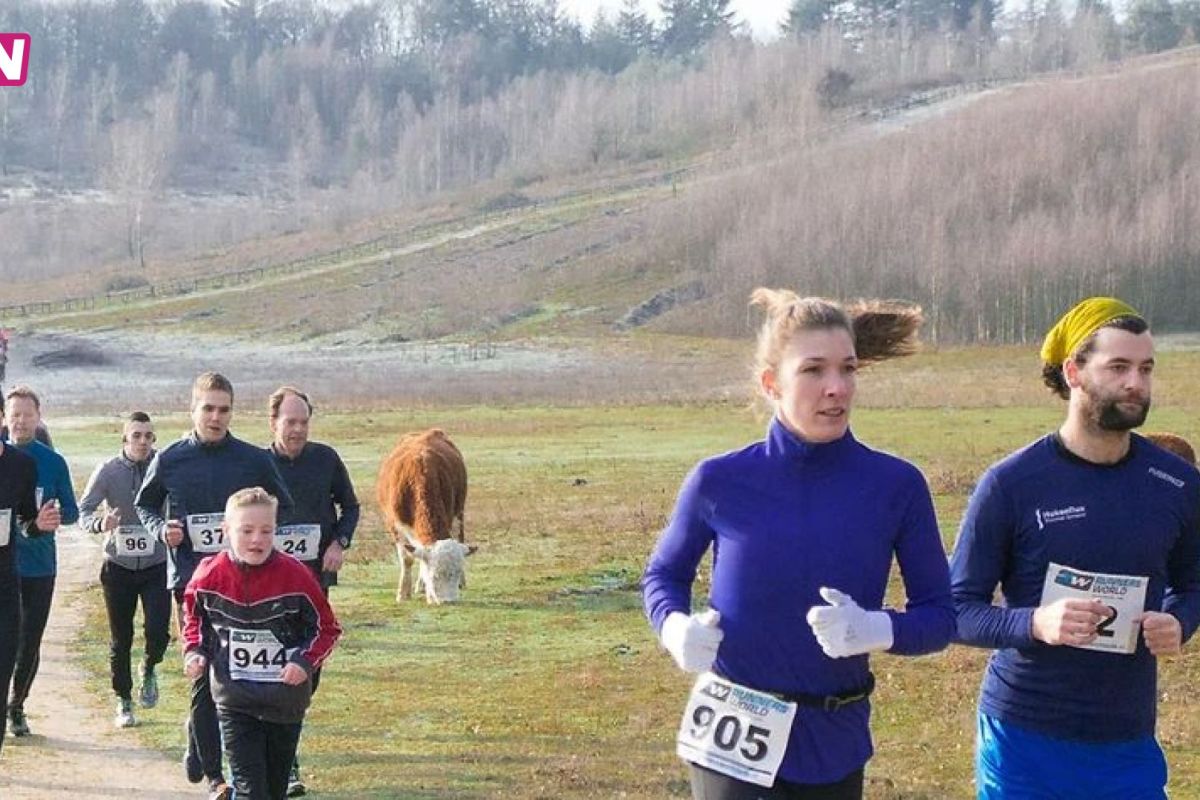 Kwintelooyenrun