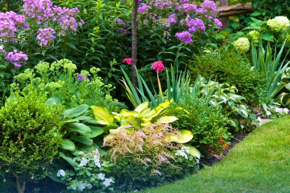 Gemeente Scherpenzeel