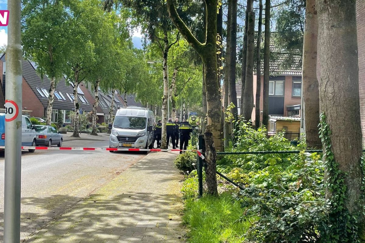 Kirsten van der Wardt