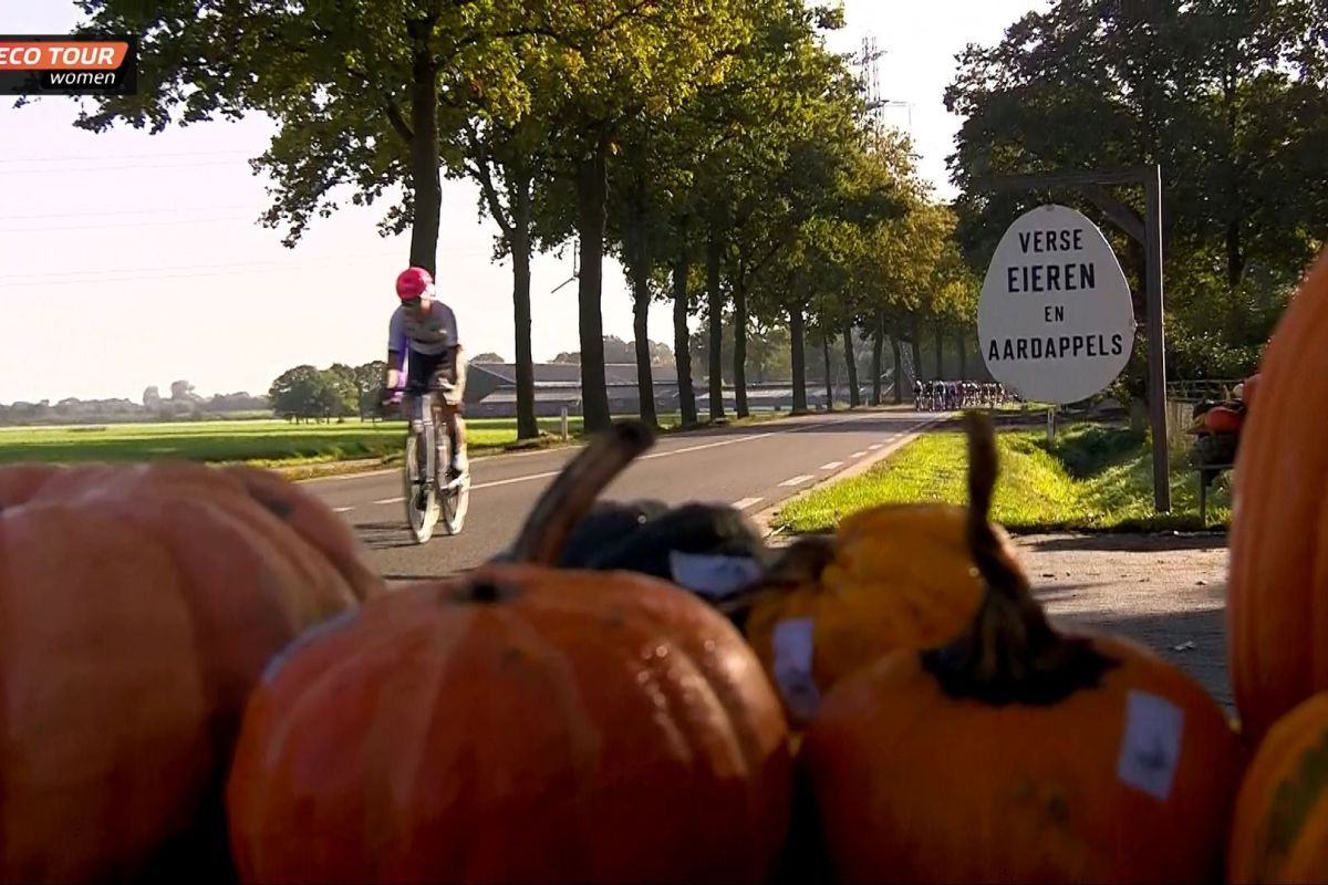 Jeroen de Groot / XON
