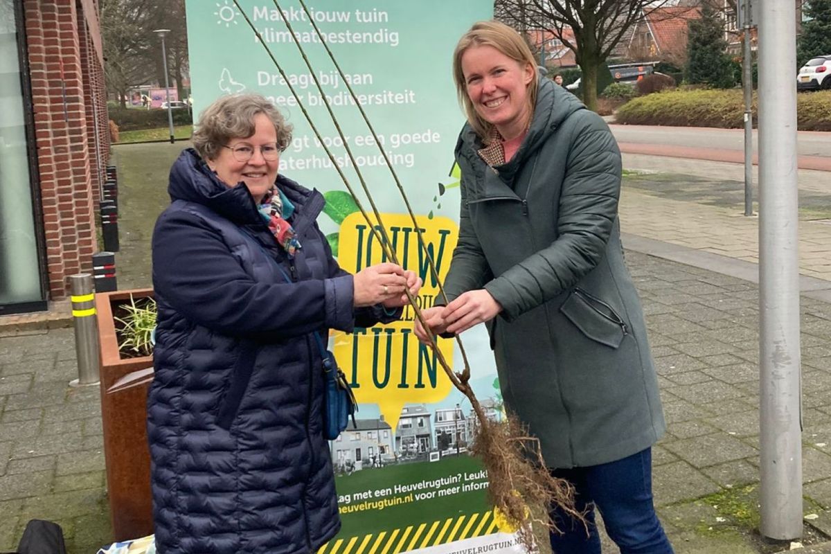Gemeente Rhenen