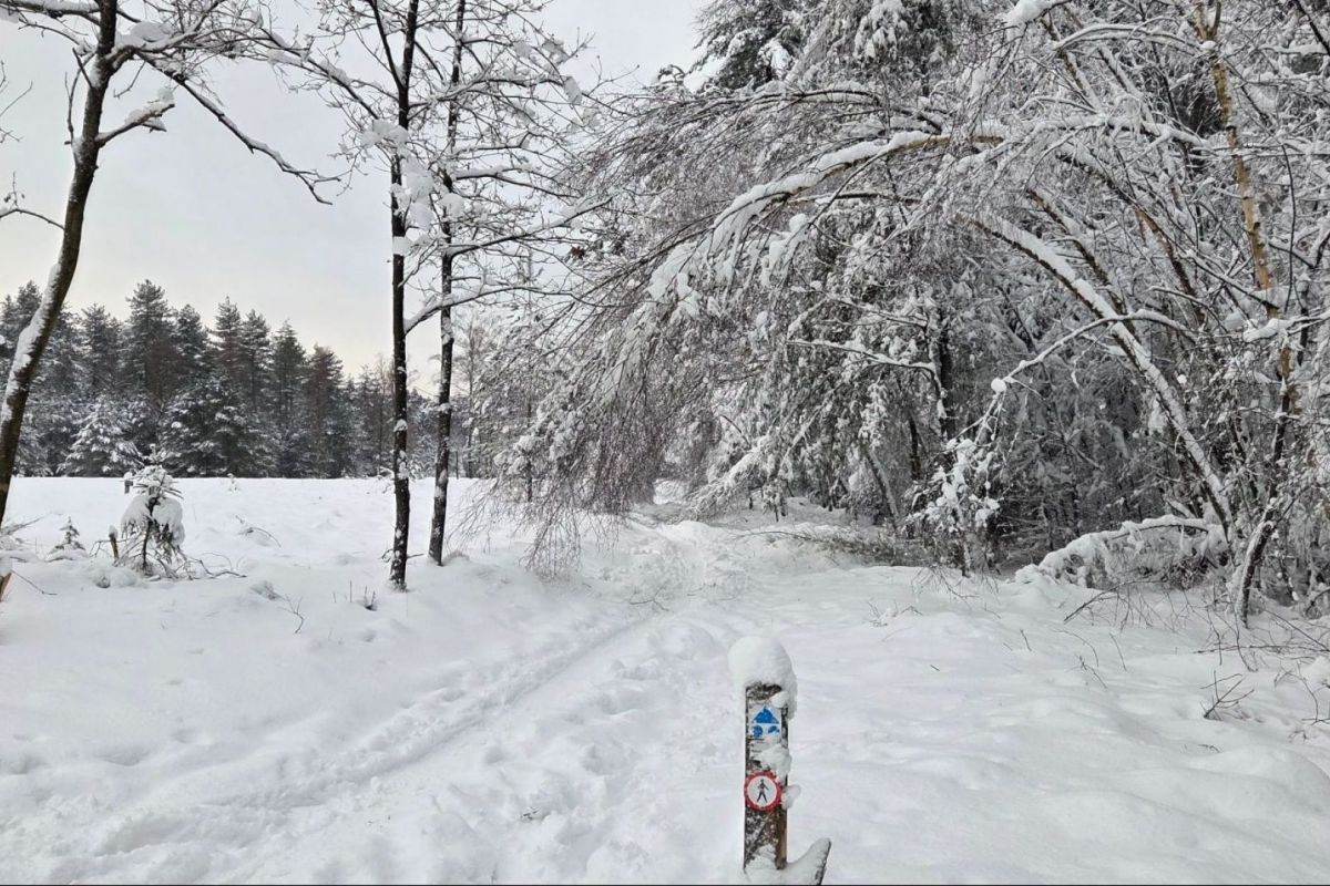 Landgoed Den Treek Henschoten