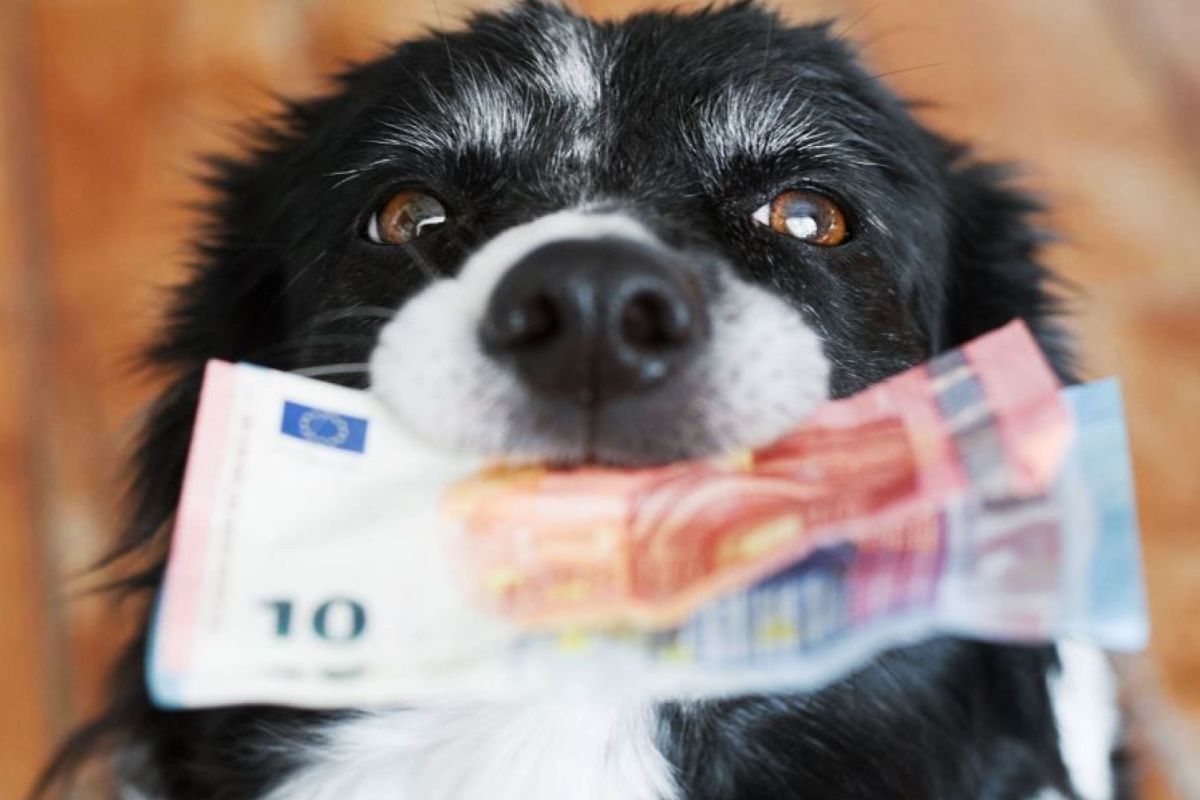 Binnenlandsbestuur.nl