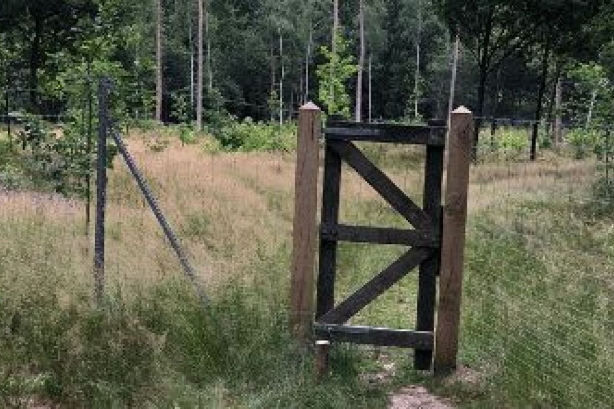 Stichting Het Luntersche Buurtbos