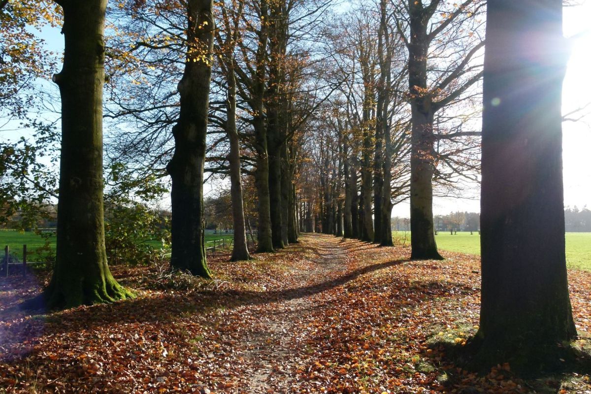 Bibliotheek Scherpenzeel / J. Boertjes