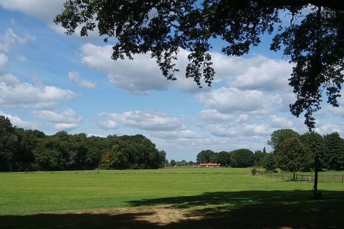 Gemeente Ede