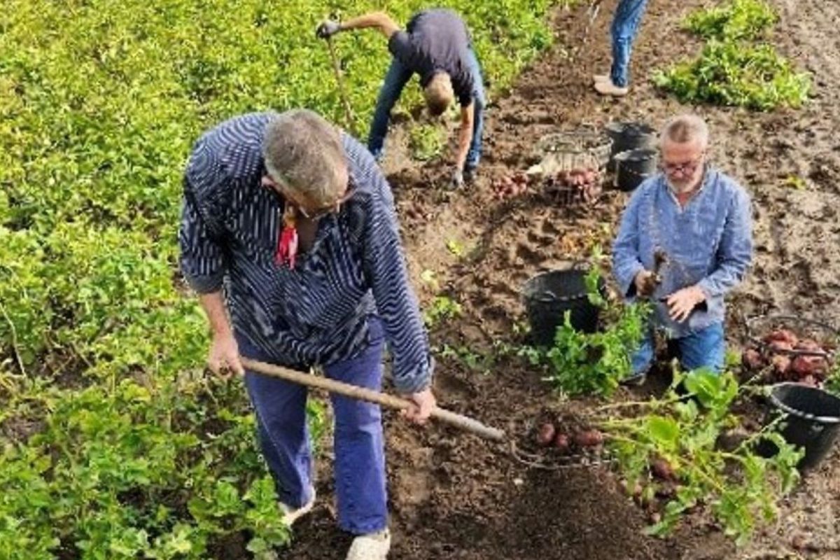 Stichting Trapakkers