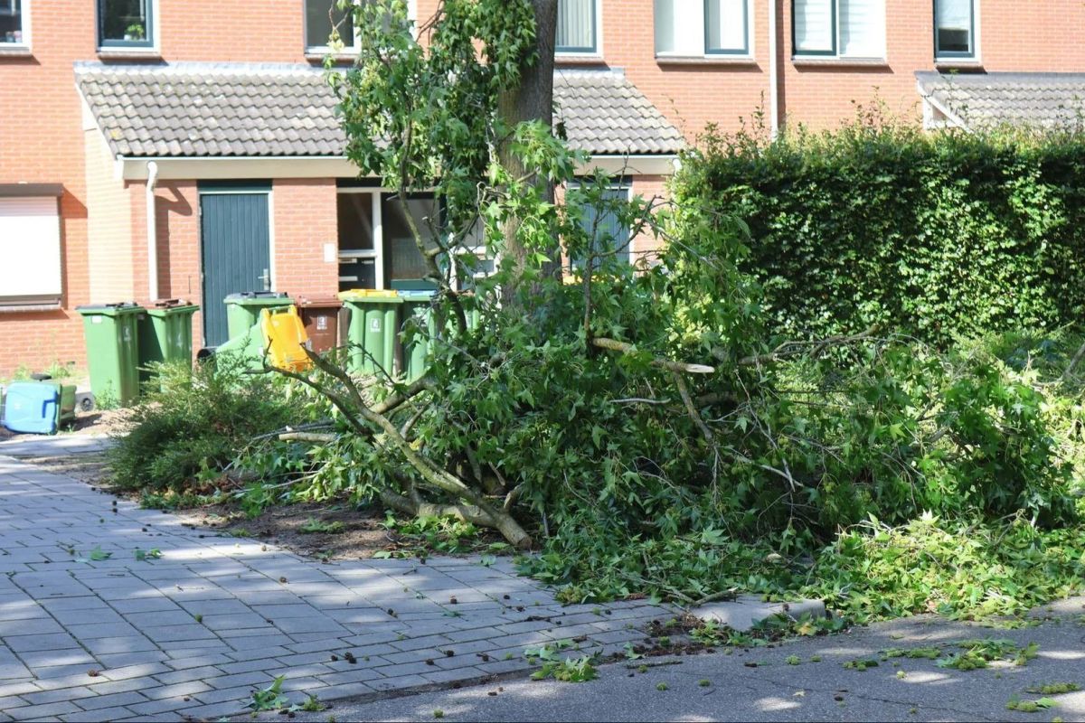 Persbureau Heitink