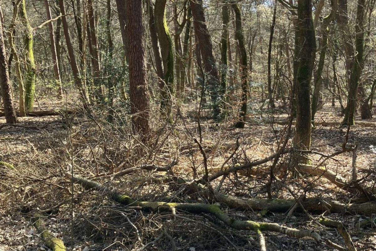 Mens en Milieu Ede