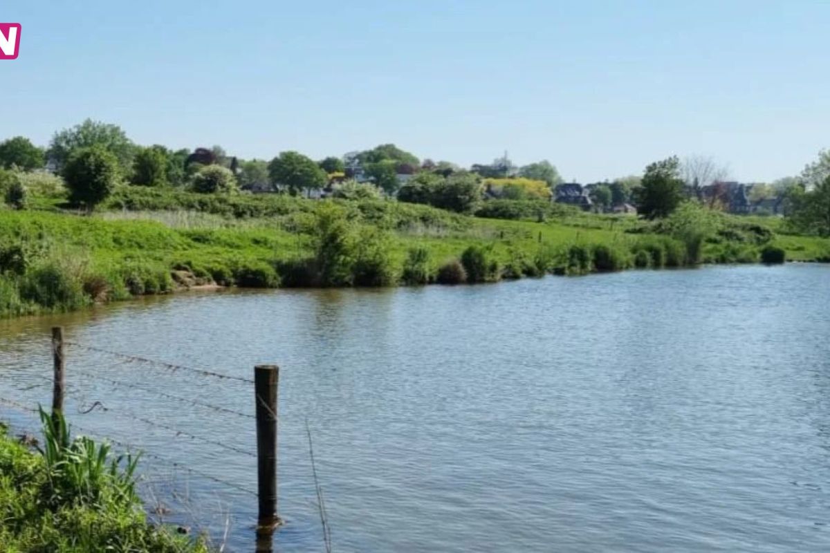 Gemeente Rhenen