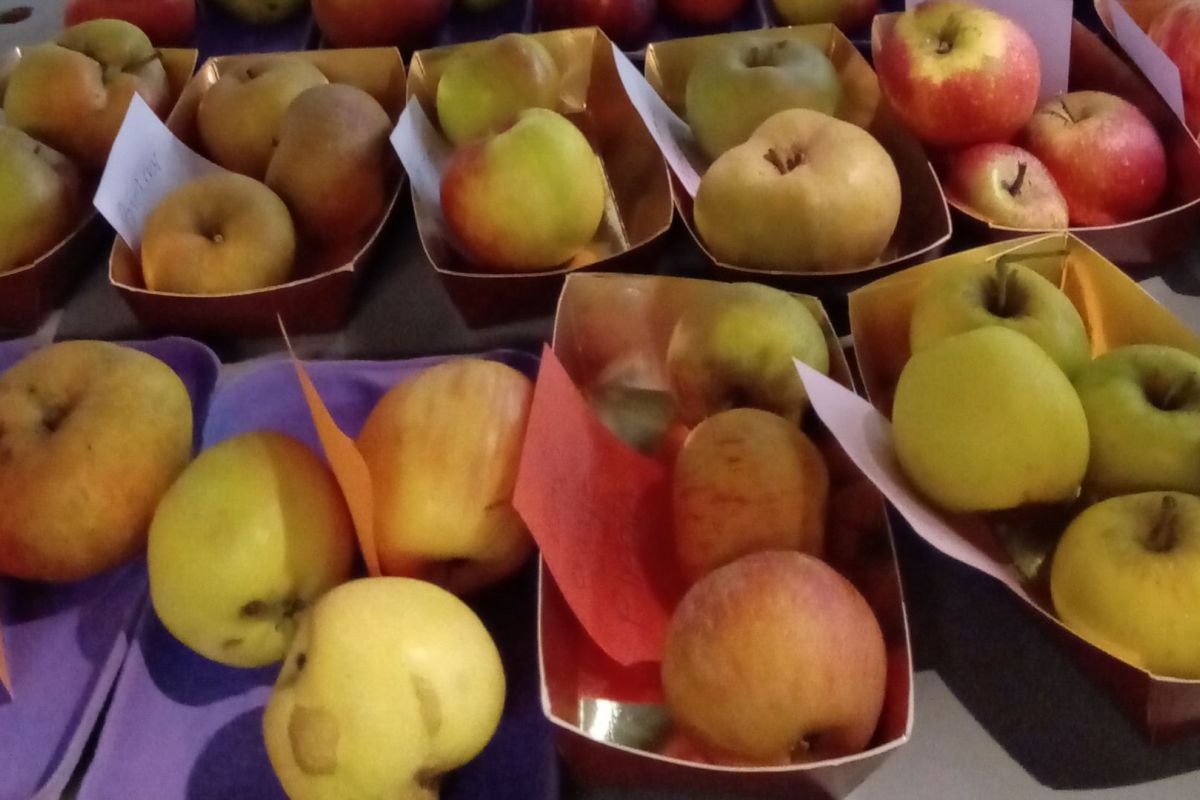 Museumtuin 't Olde Ras