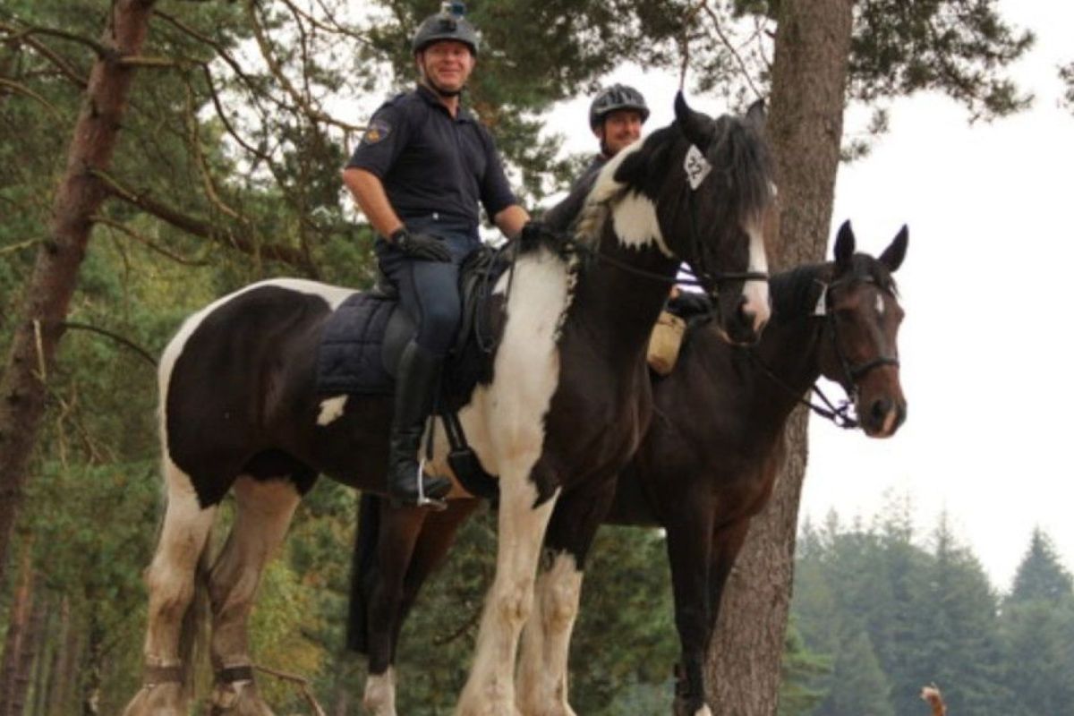 Nationaal Park De Hoge Veluwe