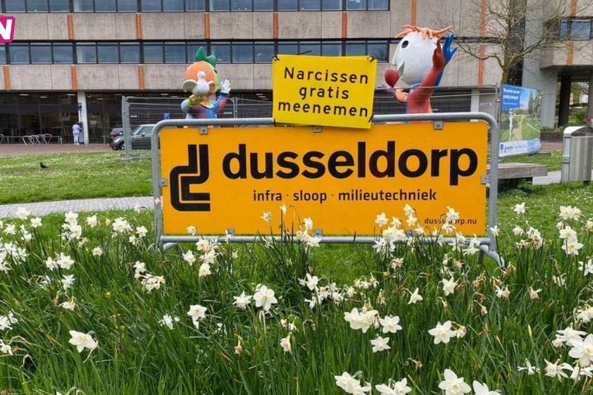 Dusseldorp Infra