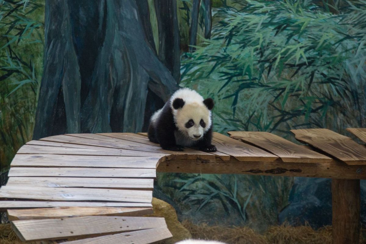 Ouwehands Dierenpark