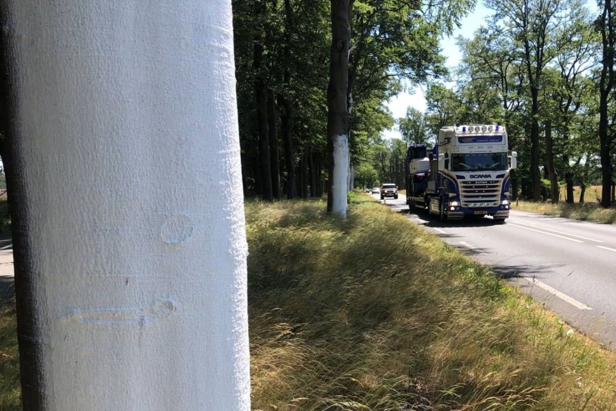 Omroep Gelderland