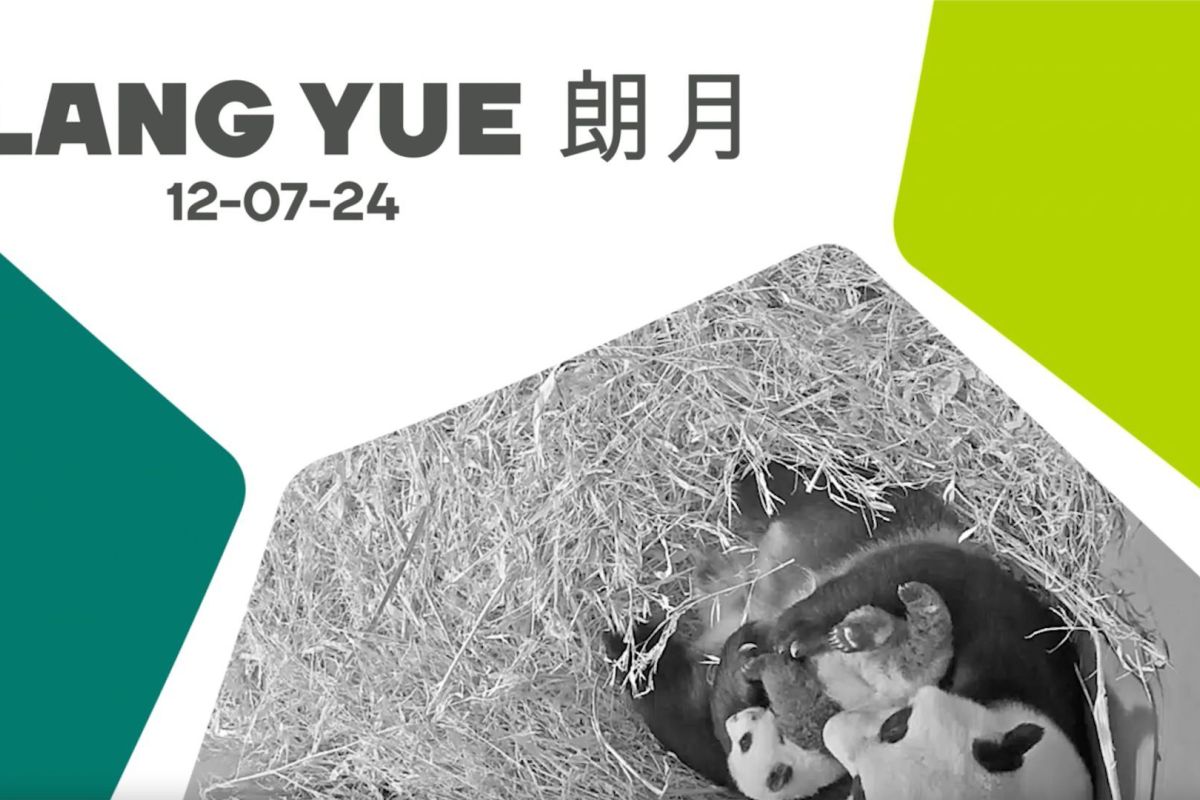 Ouwehands Dierenpark