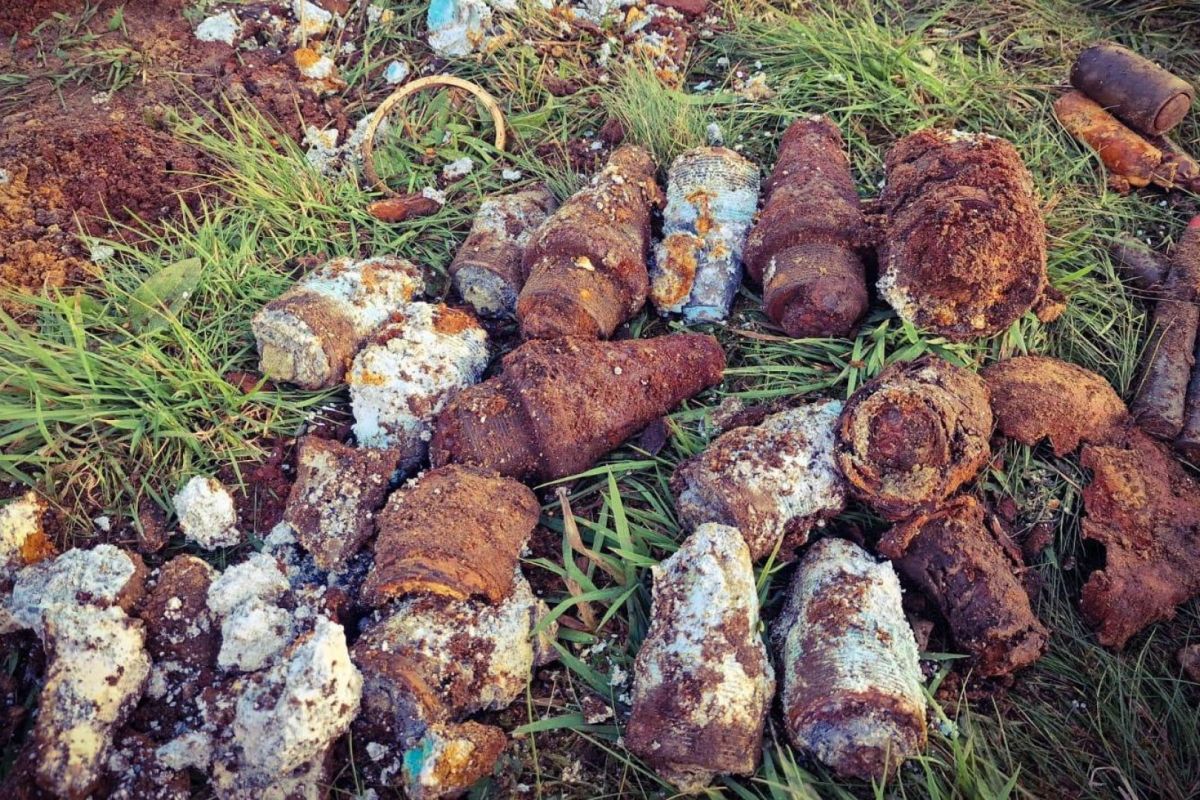 Koninklijke Landmacht