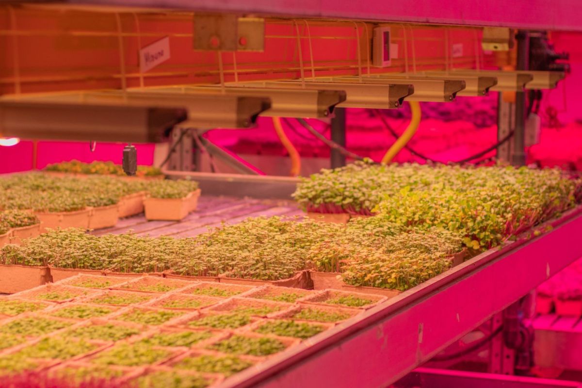 Christelijke Hogeschool Ede