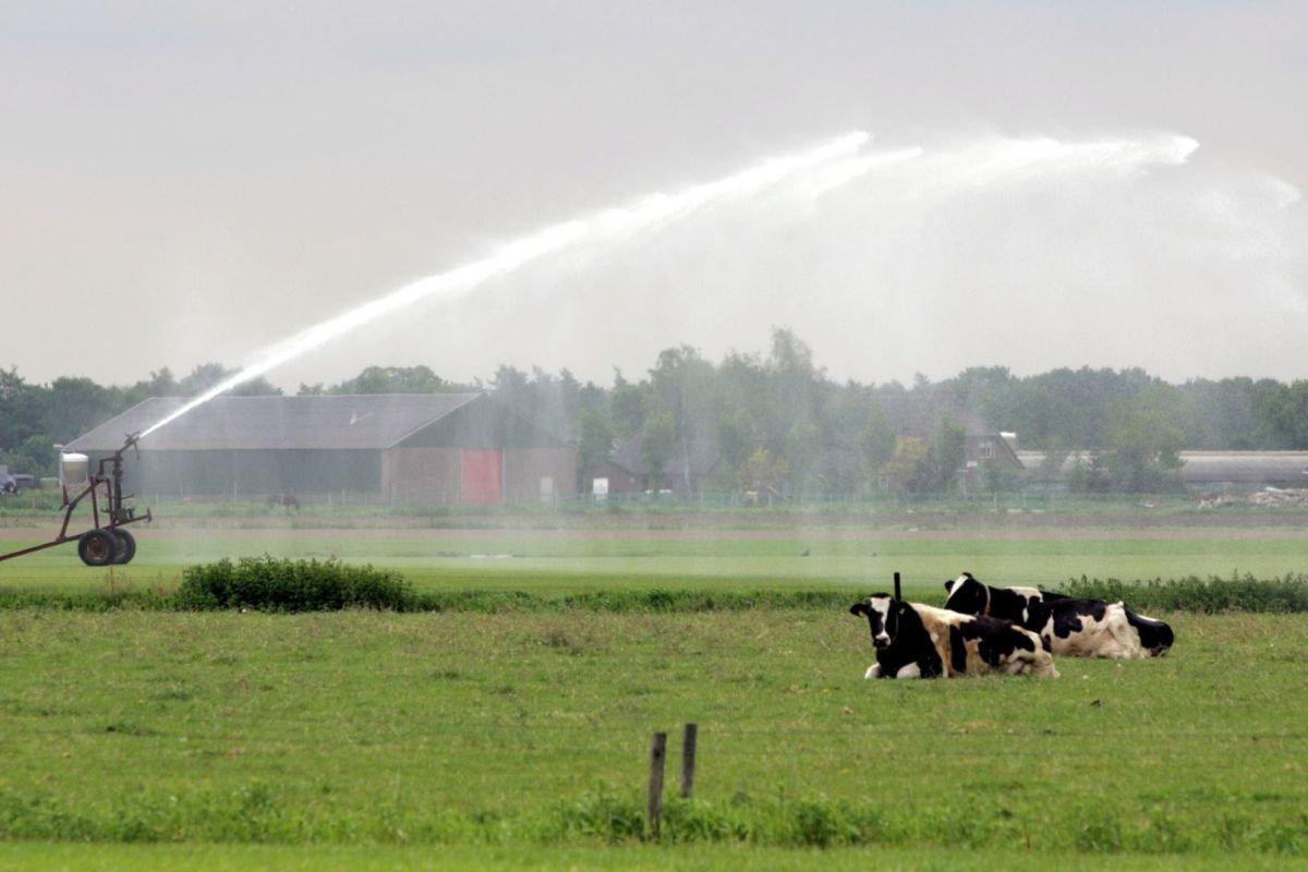 Waterschap Vallei en Veluwe