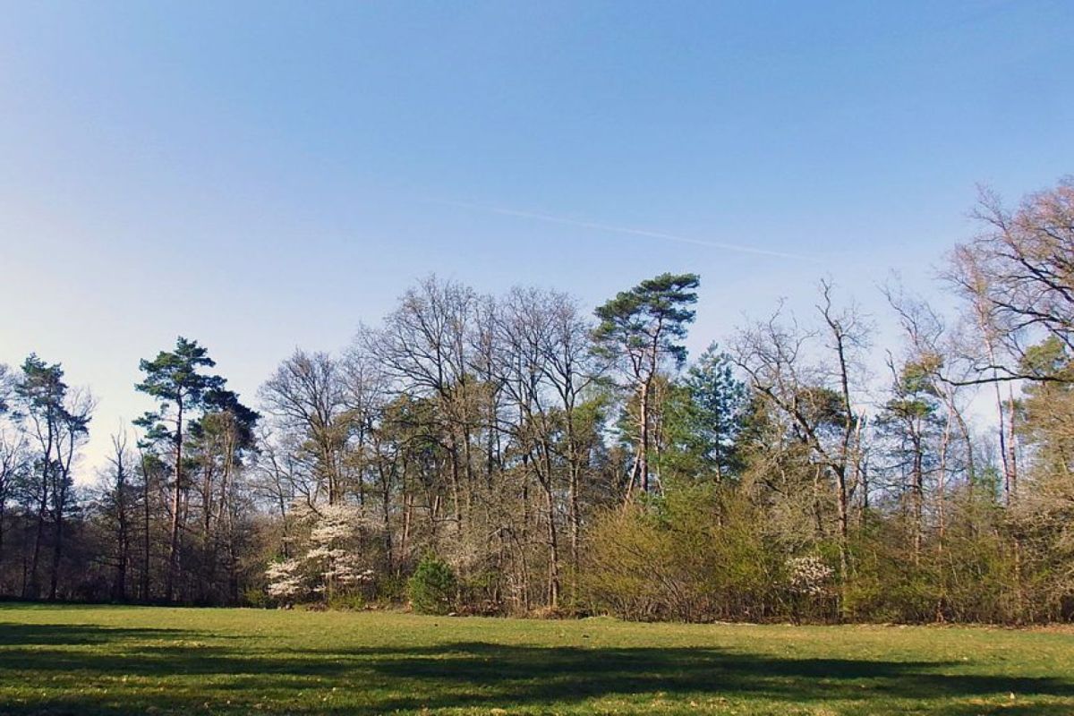 Natuurbegraafplaats Prattenburg