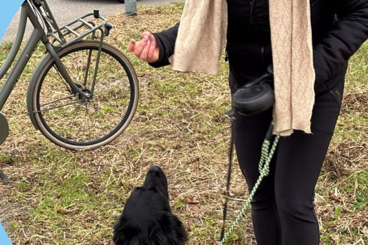 Honden Zoekgroep Gelderse Vallei