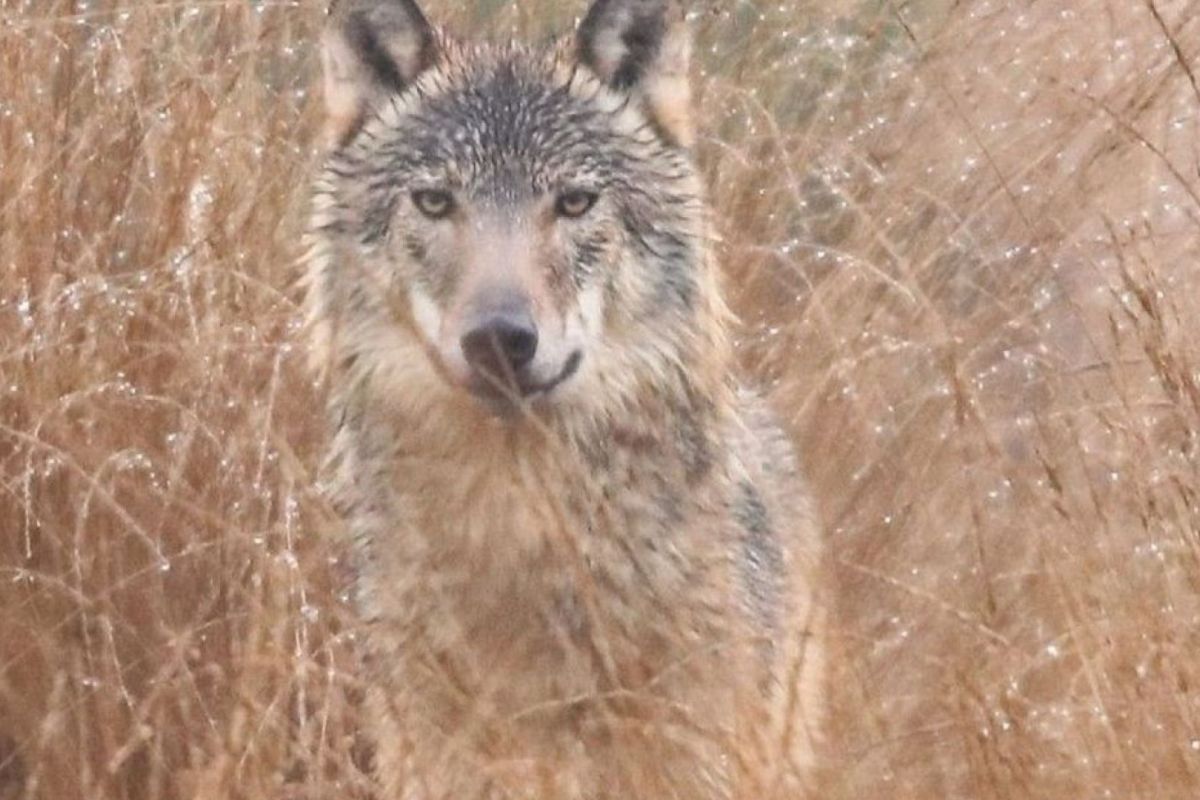 Gert-Jan van Sligtenhorst