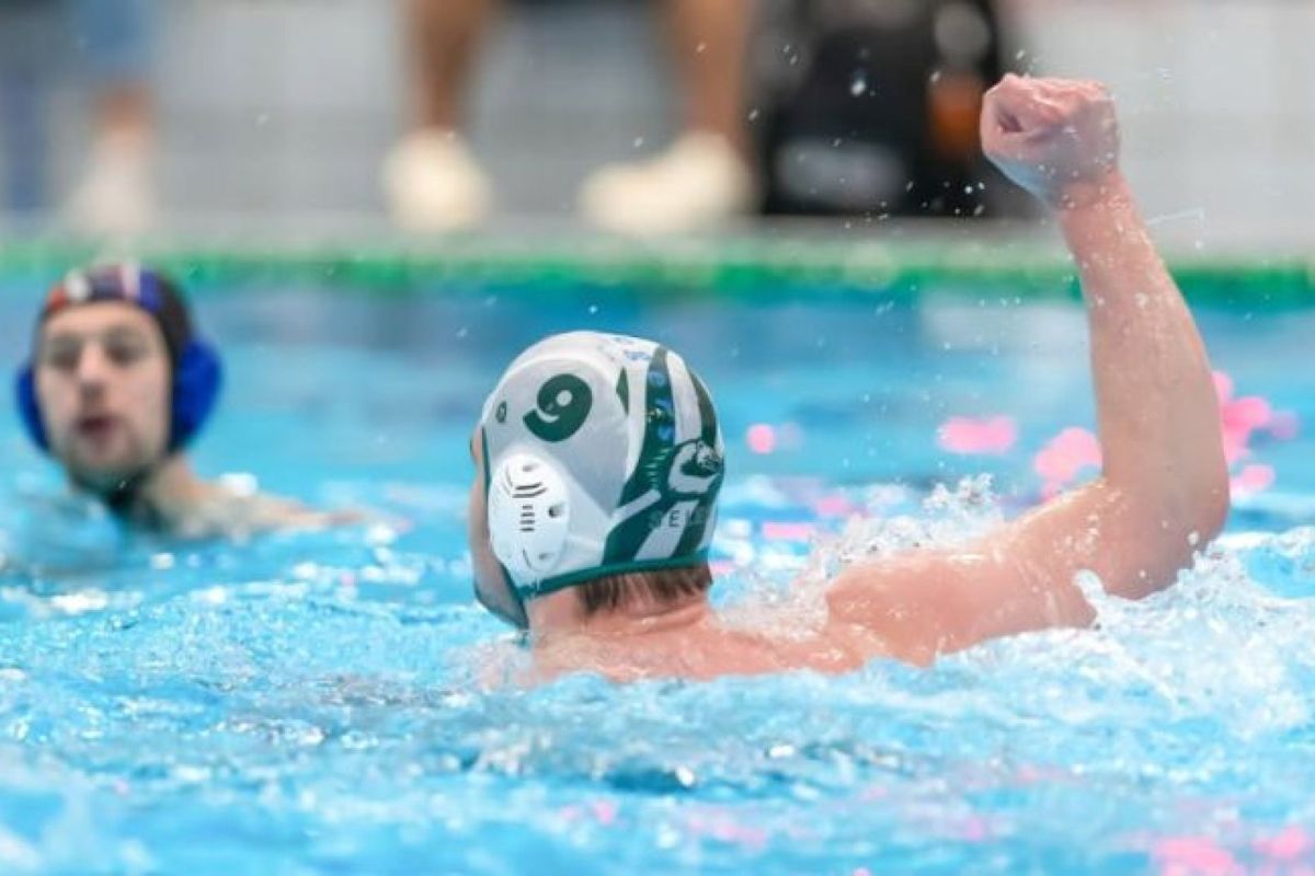 Mark Gunnink/Orange Pictures