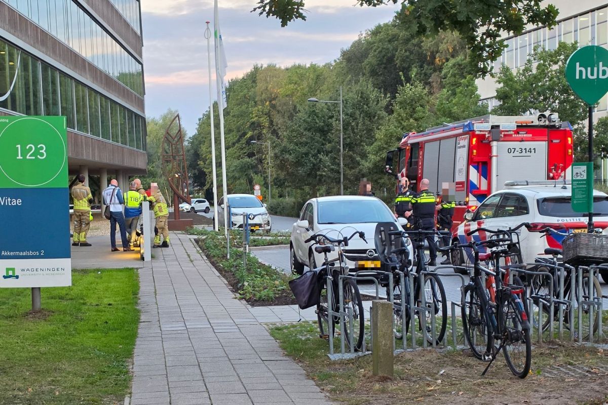 Persbureau Heitink