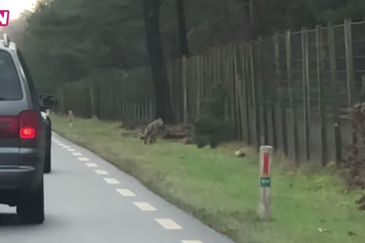 Omroep Gelderland