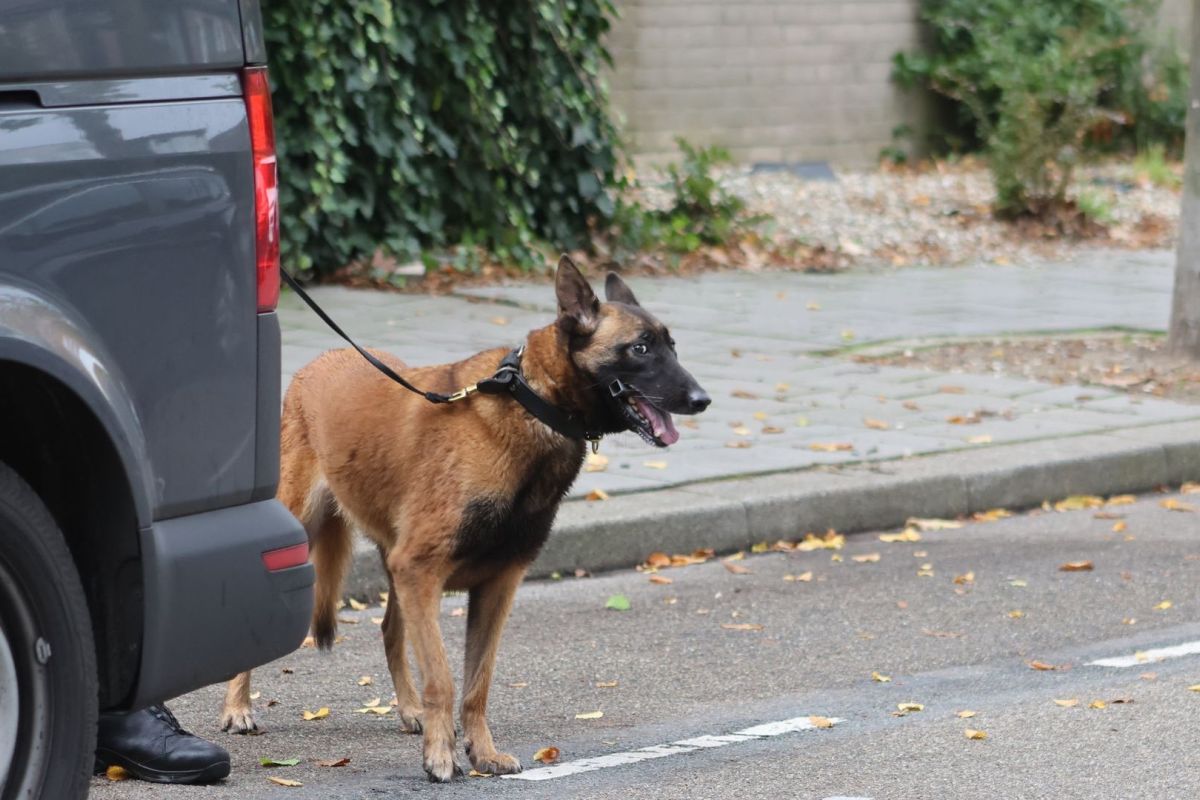 Persbureau Heitink