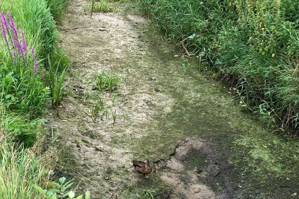 Waterschap Vallei en Veluwe