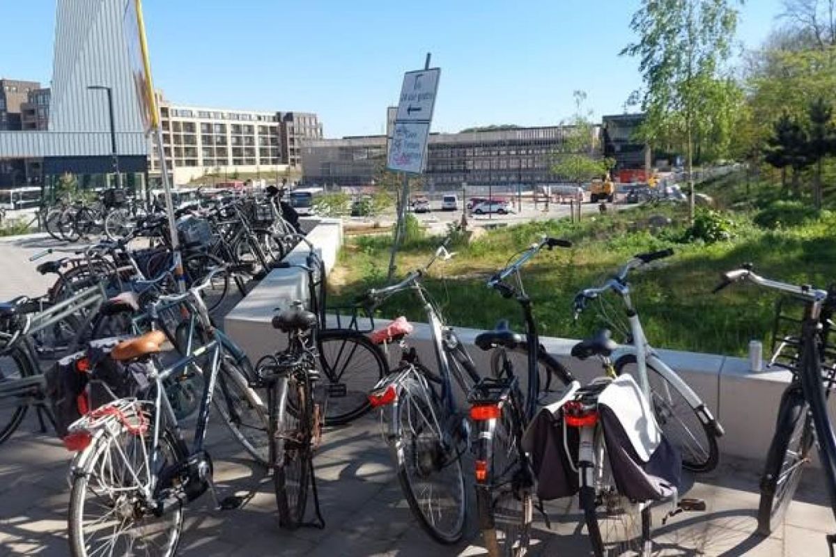 Gemeente Ede