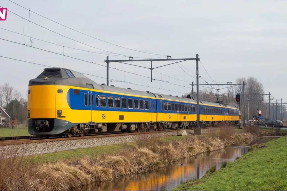 NS