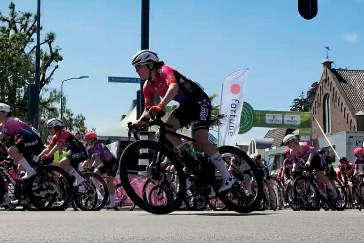 Jeroen de Groot